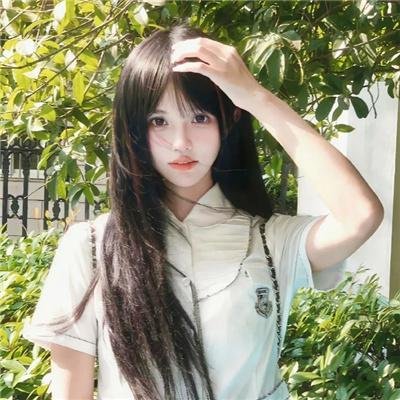 庇护棕榈树下